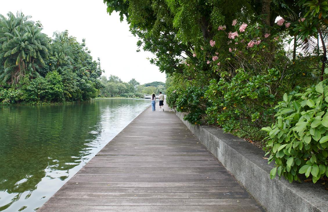 two people walking on a deck over water